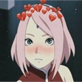 Usuário: sakuraharuno115