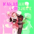 Usuário: KakaSaku_Project