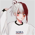 Usuário: Ayumi_Todoroki