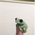 Usuário: mr_foca