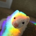 Usuário: Neon-Ferret2024