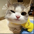 Usuário: Prinxess_06