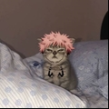 Usuário: JulioInk