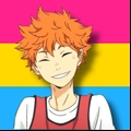 Usuário: HinataShoyo2024