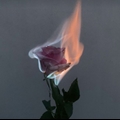 Usuário: error_265