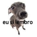 Usuário: slk_paizao