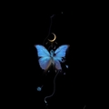 Usuário: lostbutterfly