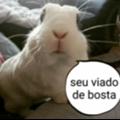 Usuário: Na7Hasagiri