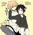 Usuário: Shizaya-Yaoi