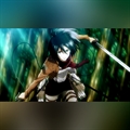 Usuário: Mikasa-Acm