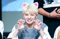 Usuário: babyxwoozi