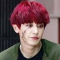 Usuário: chanchanyeol