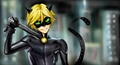 Usuário: chatnoir13