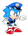 História Sonic.EXE (Versão Fanfic) - História escrita por Comics_The_Hedg -  Spirit Fanfics e Histórias