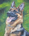 Usuário: German_Shepard