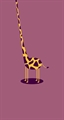 Usuário: GirafitaEt