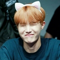 Usuário: Meiga_do_Hobi