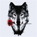Usuário: wolf08