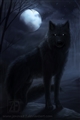 Usuário: wolf-of-hell