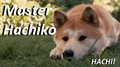 Usuário: MasterHachiko