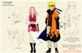 Usuário: narusaku0308