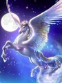 Usuário: Pegasus-999