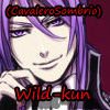 Usuário: Wild-kun