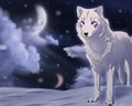 Usuário: wolf-white