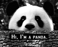 Usuário: Party_Panda
