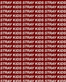 Usuário: StrayKidsStorys