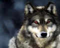 Usuário: theowolf