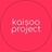 Usuário: KaiSooProject