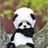 Usuário: PandaSenpai01