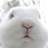 Usuário: Snow__Bunny