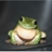 Usuário: frogg-