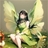 Usuário: Fairy_Green2
