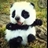 Usuário: Panda_wan