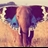 Usuário: Elefantes_Uivam