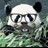 Usuário: Panda-Purpurina