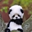 Usuário: Panda_Fofoh02