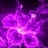 Usuário: purple367