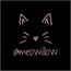 Perfil meowillow