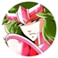 Perfil Dasf-chan