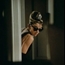 Perfil avengertimelady