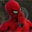 Perfil LORDSPIDER