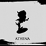 Perfil Athena2005