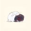 Perfil bunny_yoon56