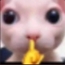 Perfil Nyn1t4
