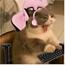 Perfil Twilight_Kamigami