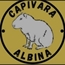 Perfil capivaralbina